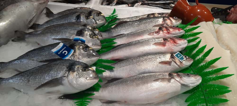 Pescado Azul 2