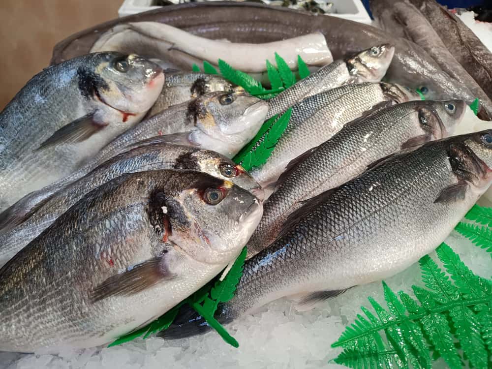 Pescado Azul 7