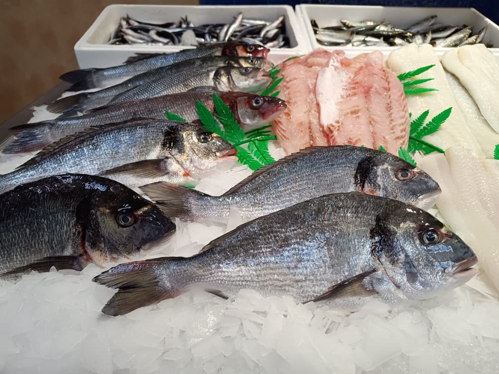Pescado Azul 9
