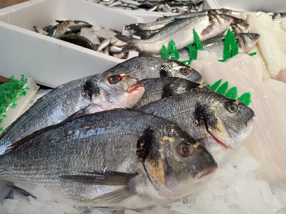 Pescado Azul 10
