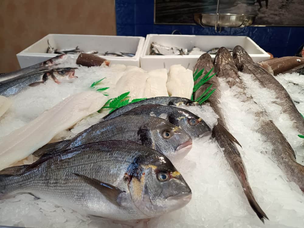 Pescado Azul 14
