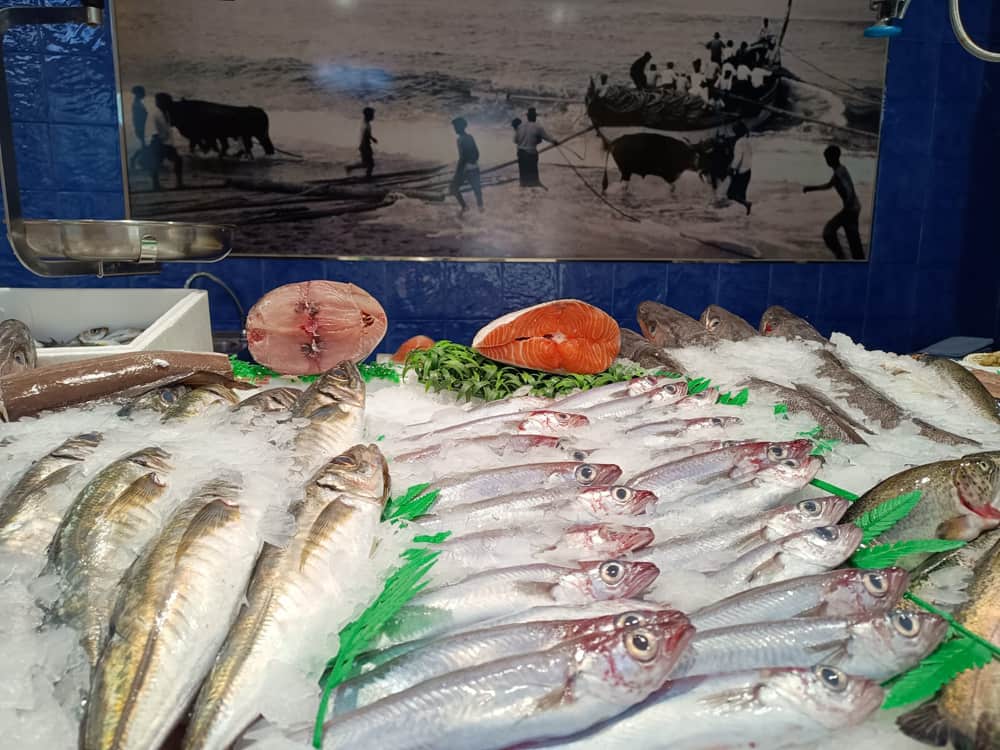 Pescado Azul 15