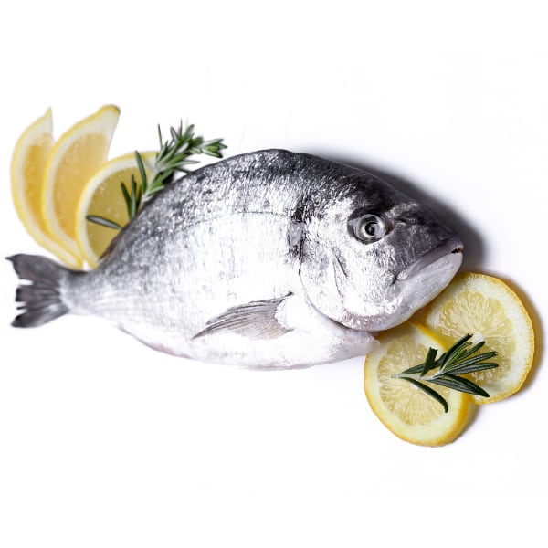 Pescado blanco en peñaranda de bracamonte