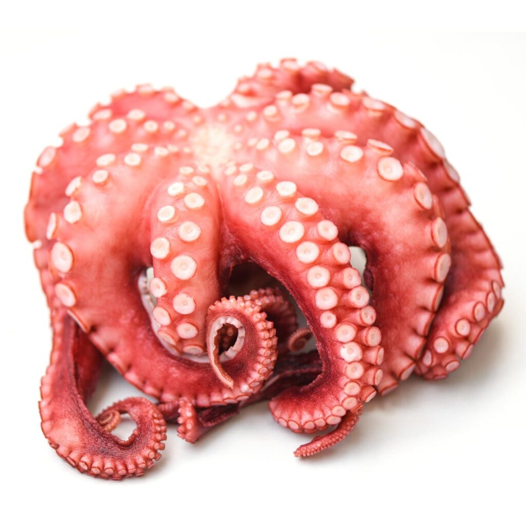 pulpo en peñaranda de bracamonte